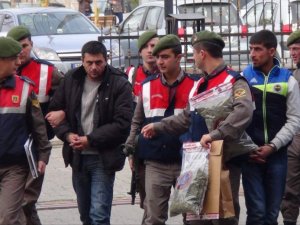 2,5 Kilo Esrar Yakalanan 2 Yolcu Tutuklandı