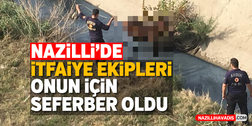 Nazilli'de itfaiye ekipleri onun için seferber oldu