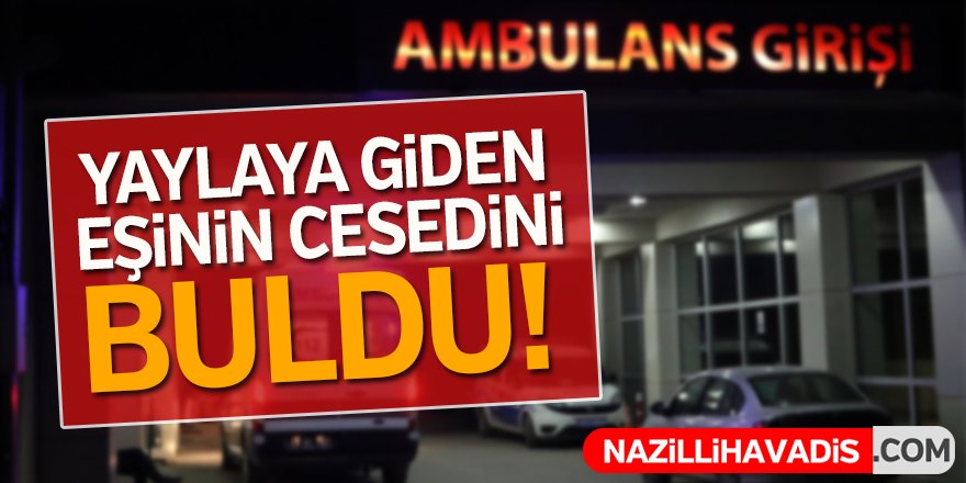 Yaylaya giden eşinin cesedini buldu