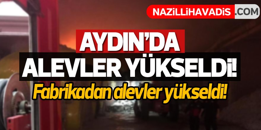 Aydın'da alevler yükseldi!