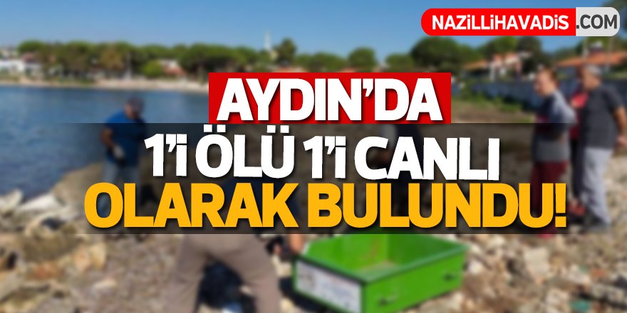 Aydın'da 1'i ölü 1'i canlı olarak bulundu!