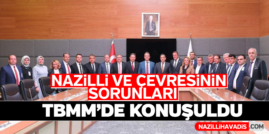 TBMM'de Nazilli ve çevresinin sorunları konuşuldu