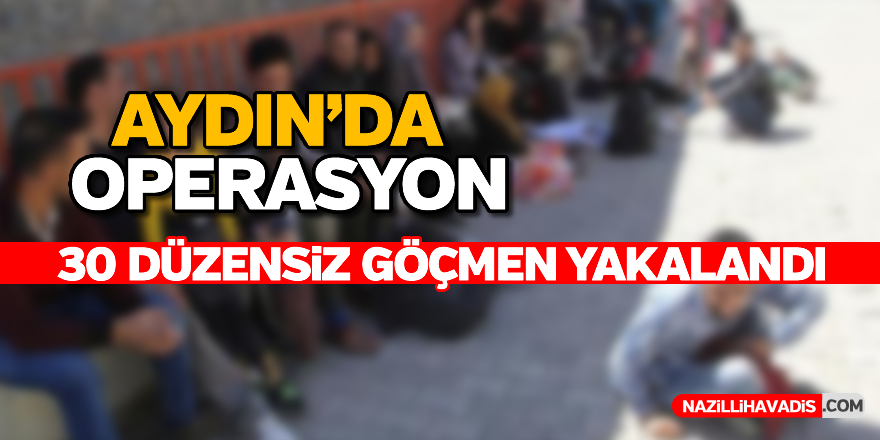 Aydın'da 30 düzensiz göçmen yakalandı