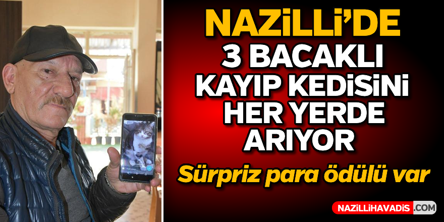 3 bacaklı kayıp kedisi 'Cino'yu her yerde arıyor