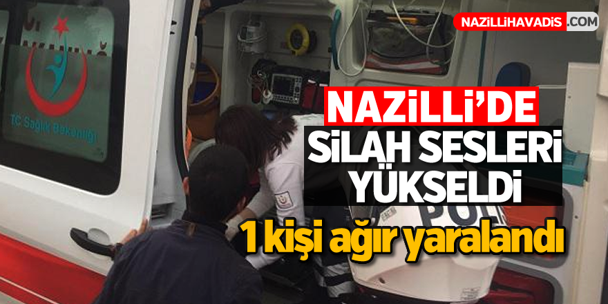 Nazilli'de silahlı kavga