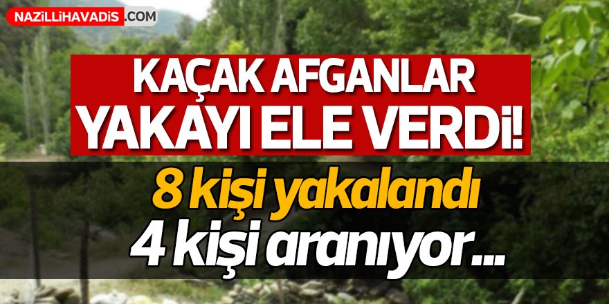 Kaçak Afganlar yakayı ele verdi!