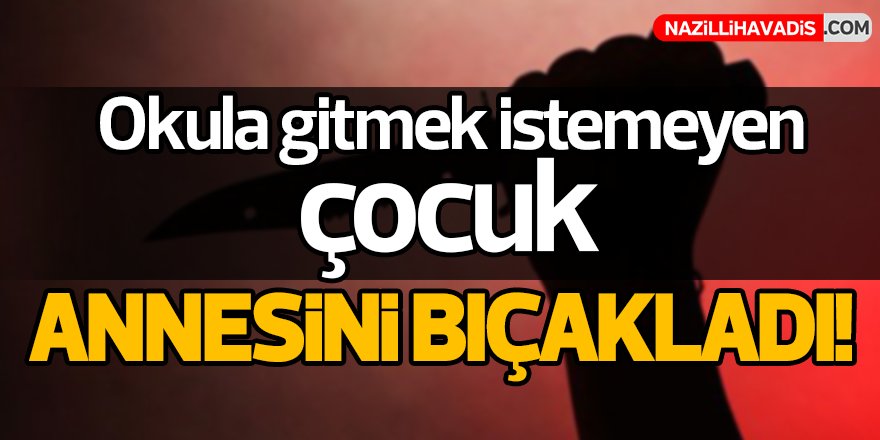 Okula gitmek istemeyen çocuk annesini bıçakladı