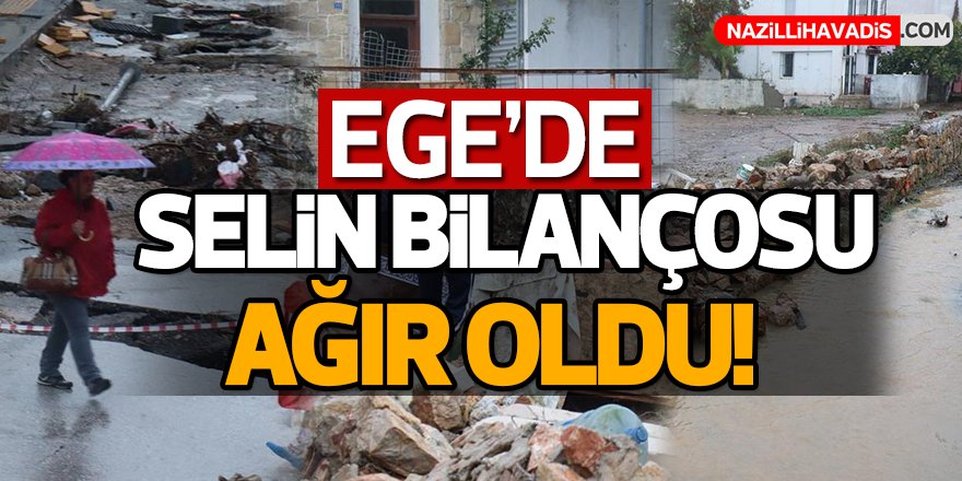 Ege'de selin bilançosu ağır oldu