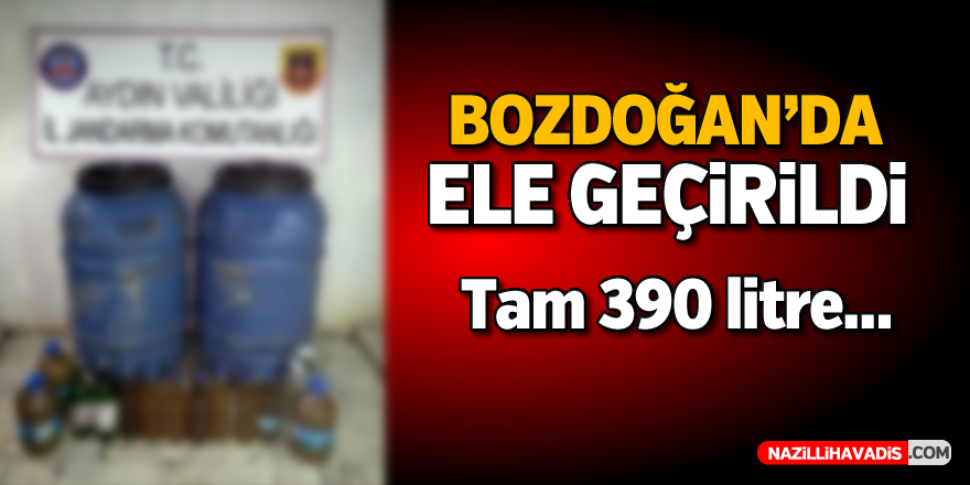 Bozdoğan'da ele geçirildi