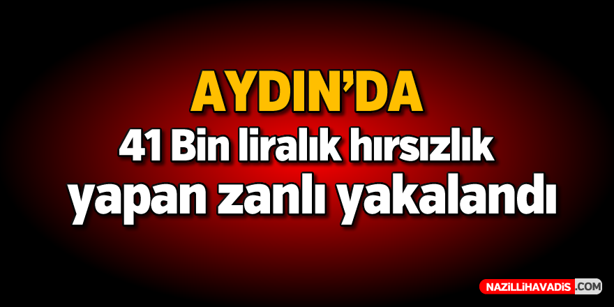 Aydın'da o hırsız yakalandı