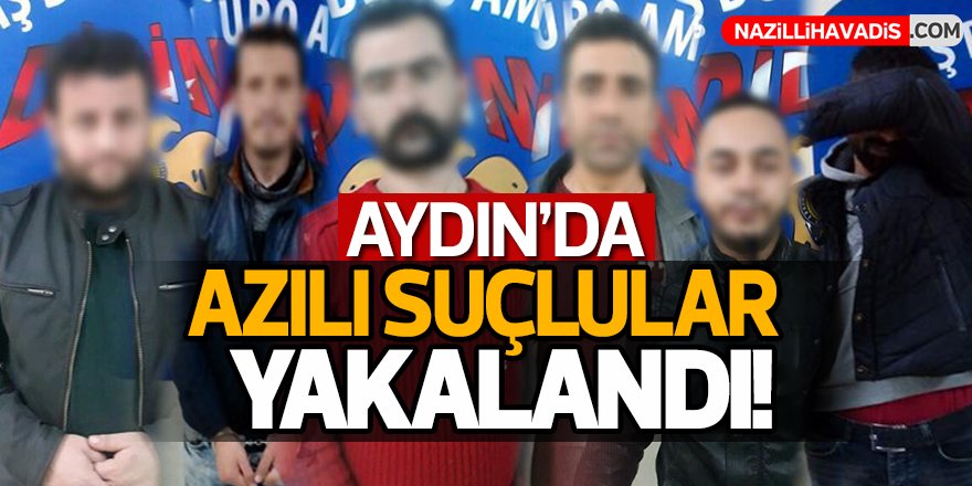 Aydın'da azılı hırsızlar  tutuklandı!