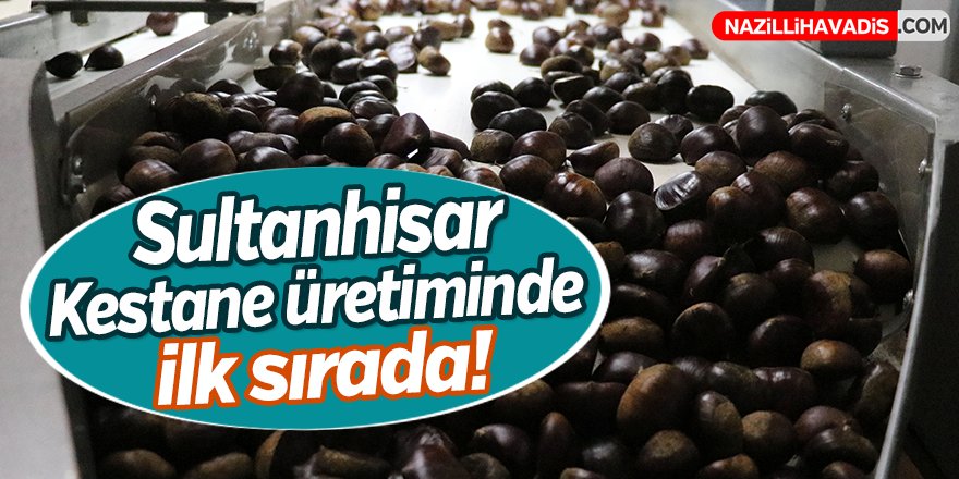 Sultanhisar kestane üretiminde Türkiye'de ilk sırada yer alıyor!