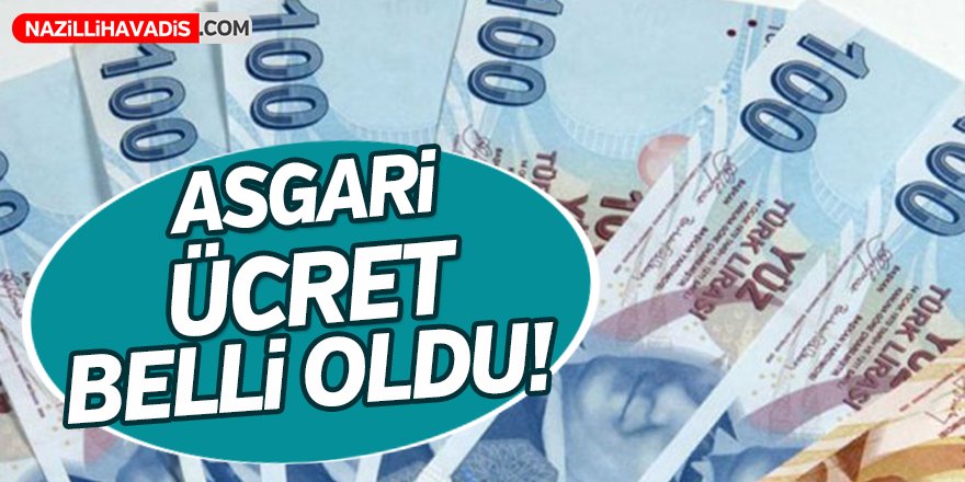 2019 Asgari ücret belli oldu!