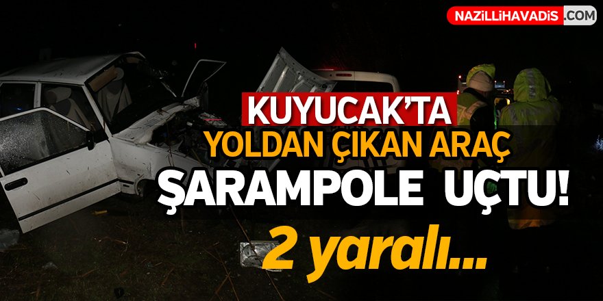 Kuyucak'ta yoldan çıkan otomobil şarampole uçtu!