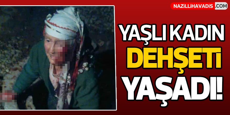 Yaşlı kadın dehşeti yaşadı!