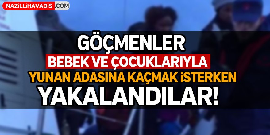 Aydın'da göçmen operasyonu