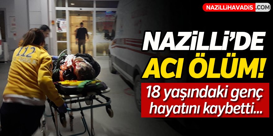 Nazilli'de Acı Ölüm!