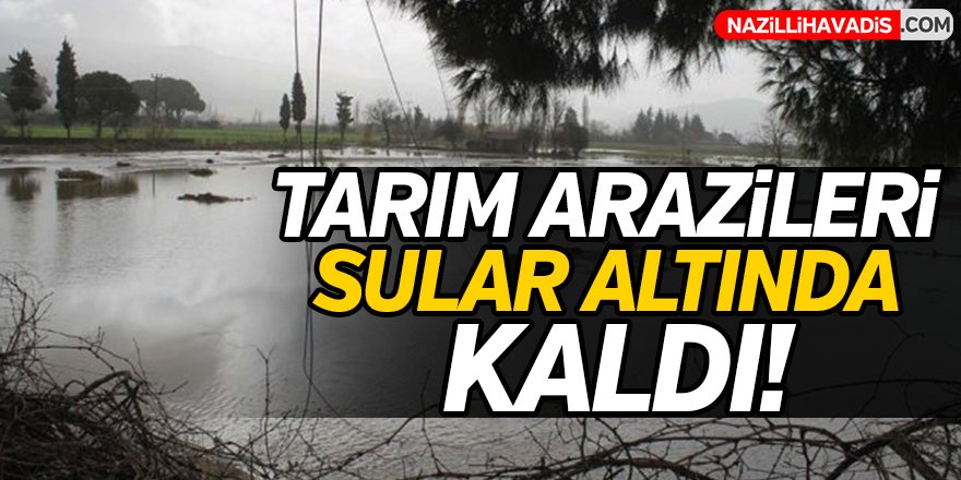 Tarım arazileri sular altında kaldı!