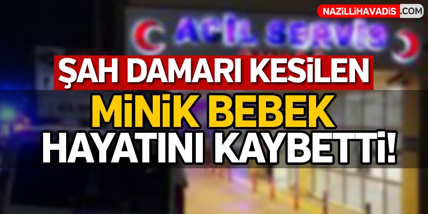 Aydın'da Acı Ölüm!