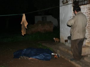 Kedinin Sadakati Şaşırttı