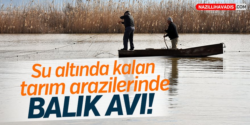 Su altında kalan tarım arazilerinde balık avı!