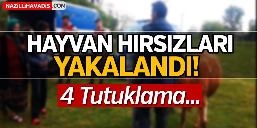 Hayvan Hırsızları Yakalandı!