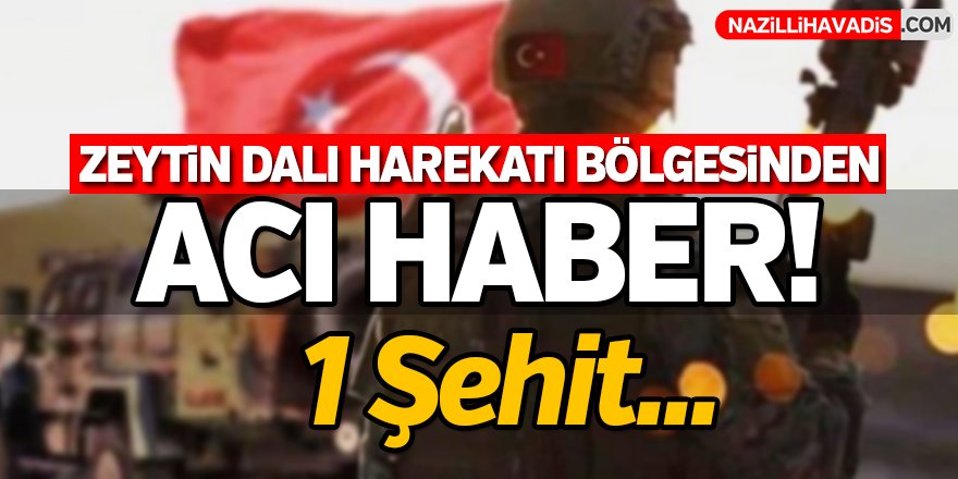 Zeytin Dalı Harekatı bölgesinde 1 asker şehit oldu