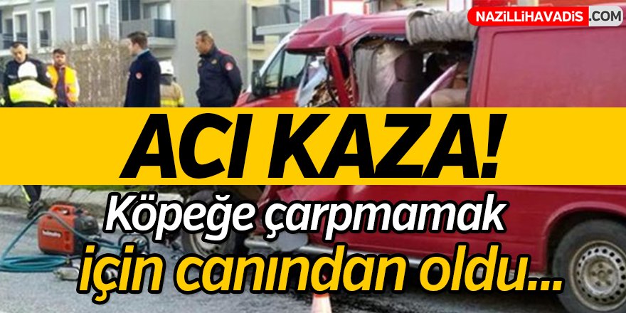 Köpeğe çarpmamak için canından oldu!