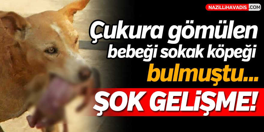 Aydın'da Sokak Köpeğinin Bulduğu Ölü Bebek Olayı Aydınlandı!