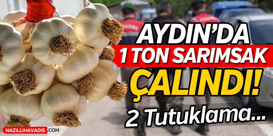 Sarımsak Hırsızlığı!