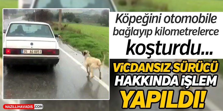 Vicdansız Sürücü Hakkında İşlem Yapıldı!