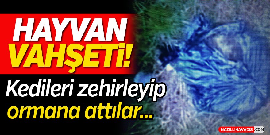 Hayvan Vahşeti!