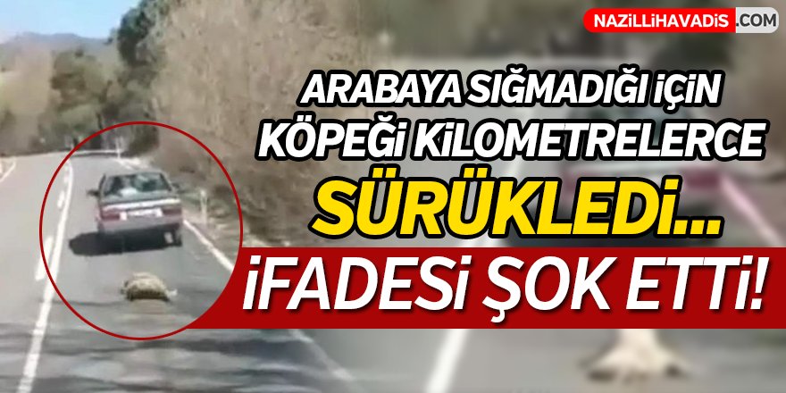 Köpeğini kilometrelerce sürükleyen sürücü  yakalandı, ifadesi şoke etti...