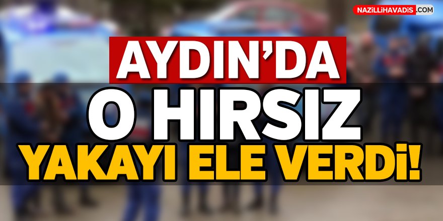 Aydın'da Hırsız Yakalandı!