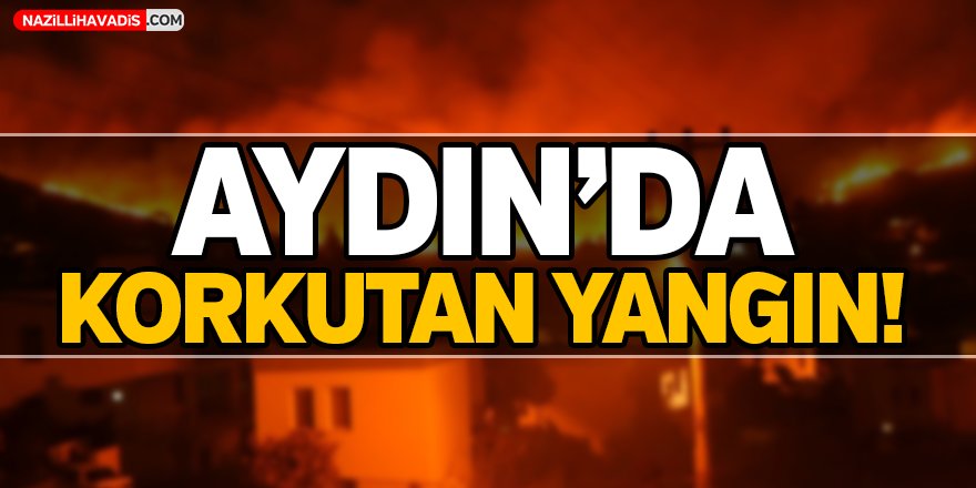 Aydın'da Korkutan Yangın!