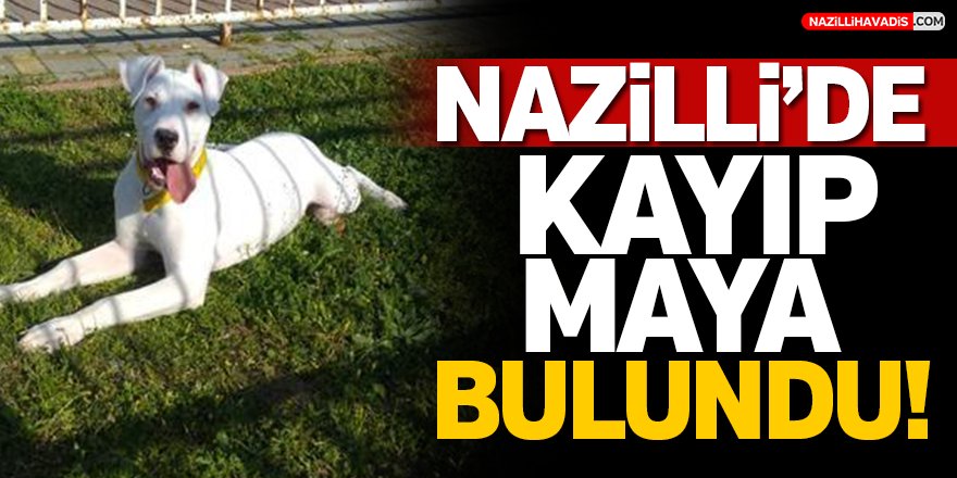 Nazilli'de Kayıp Maya Bulundu!