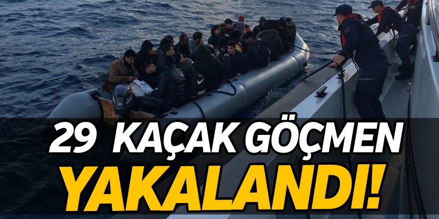 29 Kaçak Göçmen Yakalandı!