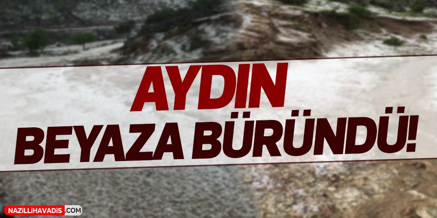 Aydın Beyaza Büründü!