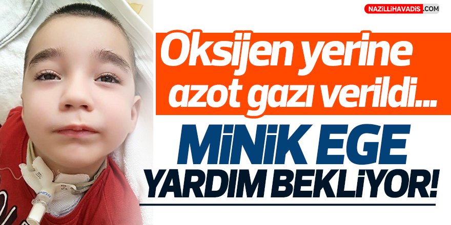 Oksijen yerine azot gazı verilen minik Ege yardım bekliyor!