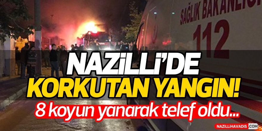 Nazilli'de korkutan yangın!