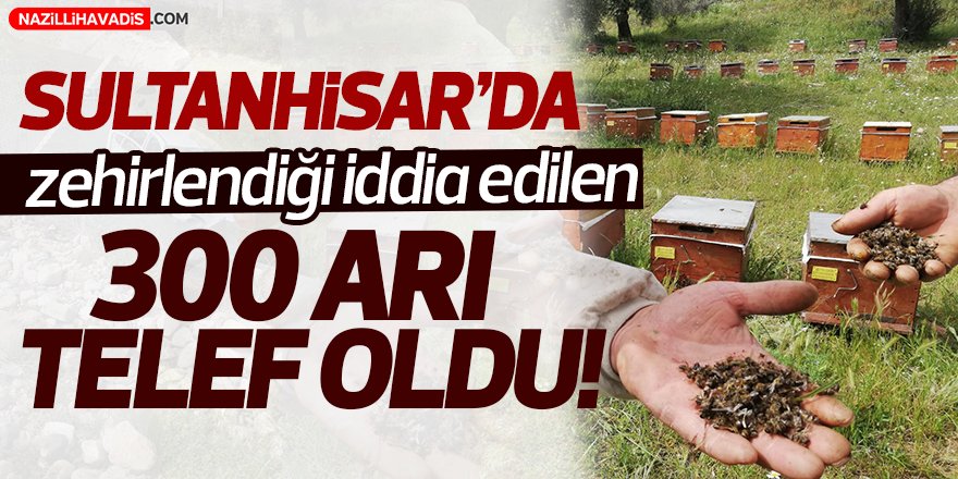 Sultanhisar'da 300 Arı Telef Oldu!