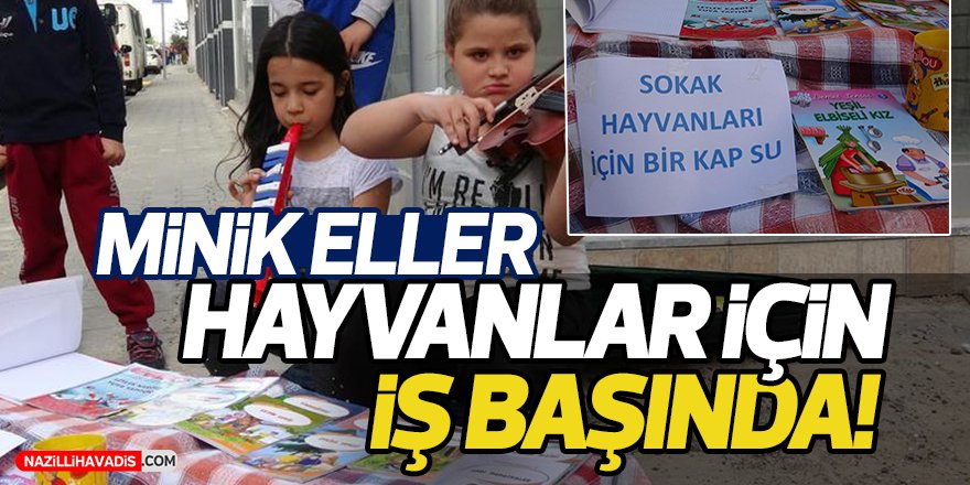 Minik Eller Hayvanlar İçin İş Başında!