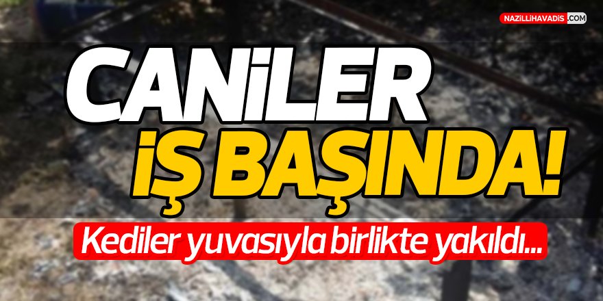 Caniler İş Başında!