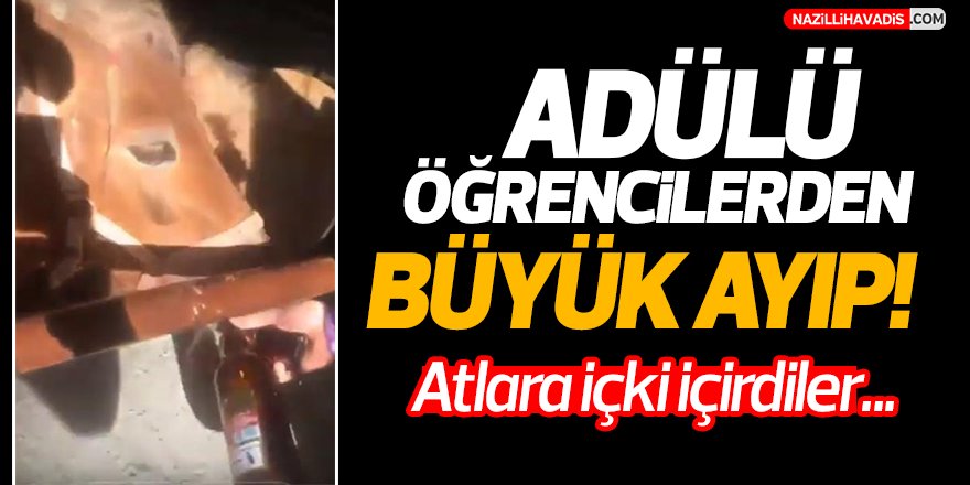 ADÜ'lü Öğrencilerden Büyük Ayıp!