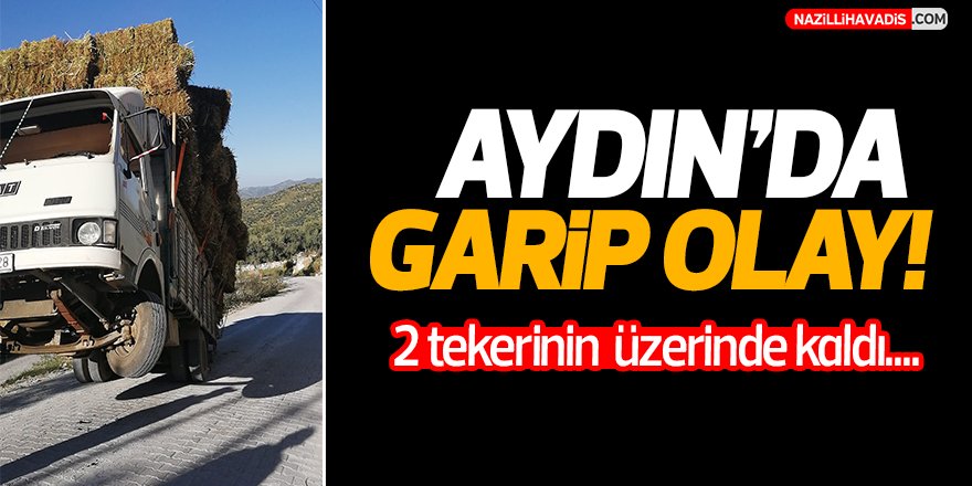 Aydın'da Garip Olay!