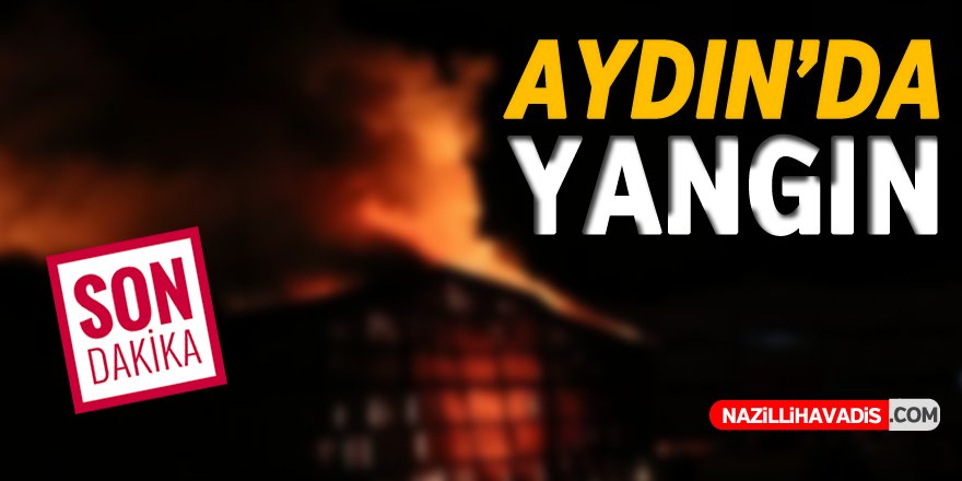 AYDIN'DA YANGIN!