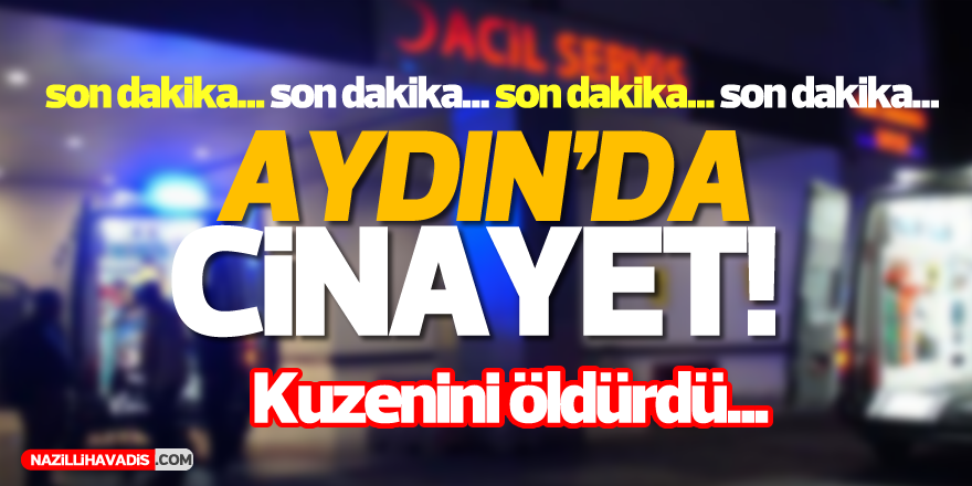 Aydın'da cinayet!