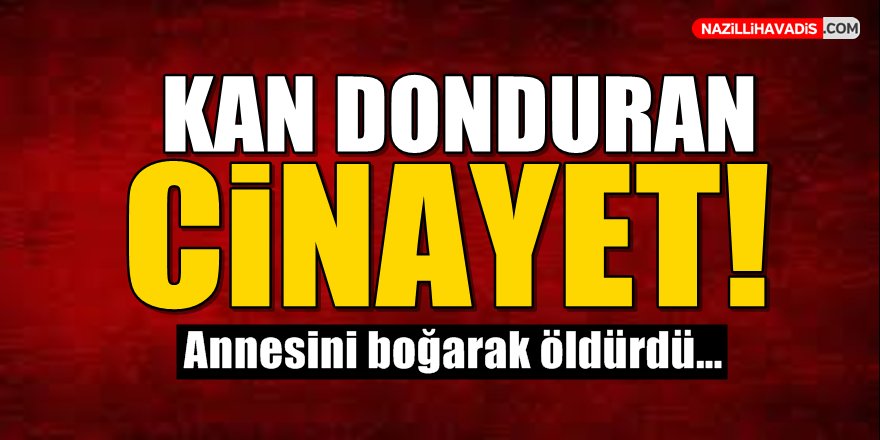 Kan Donduran Cinayet!