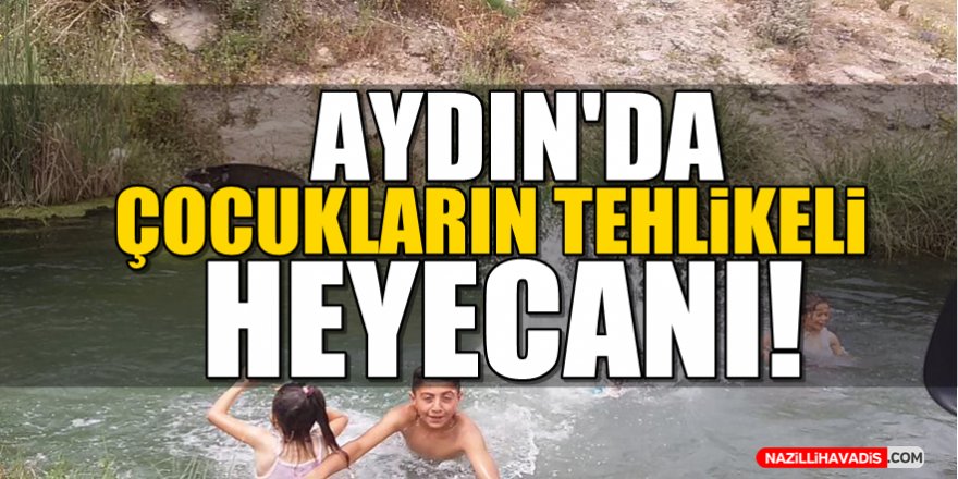 Aydın'da Çocukların Tehlikeli Heyecanı!