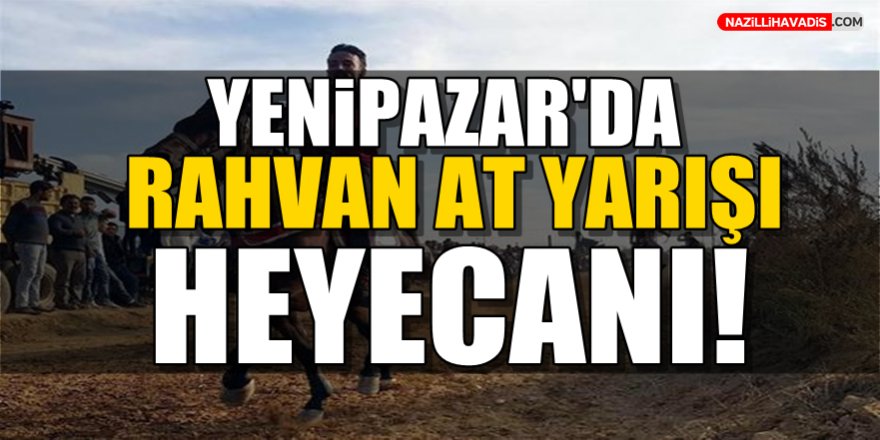 Yenipazar'da Rahvan At yarışları heyecanı!